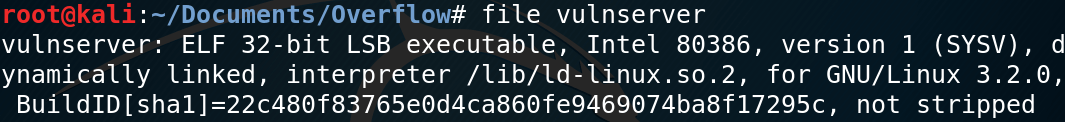 file命令输出